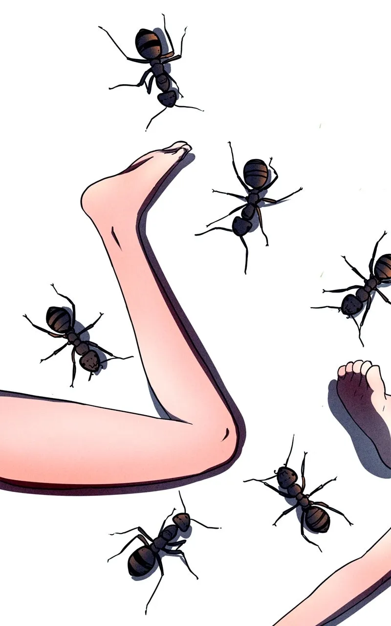 The Shell Chapter 3 page 114 - 