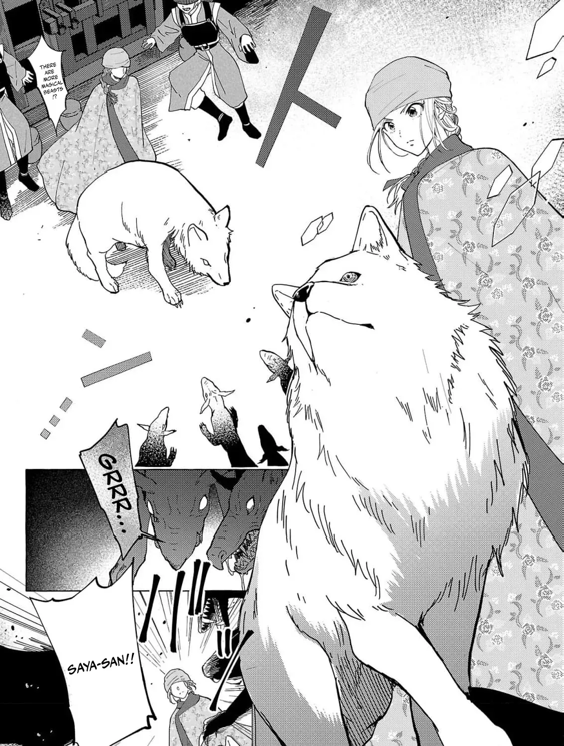 The Shut-In Empress Consort of the Rikan Empire Chapter 29 page 17 - 