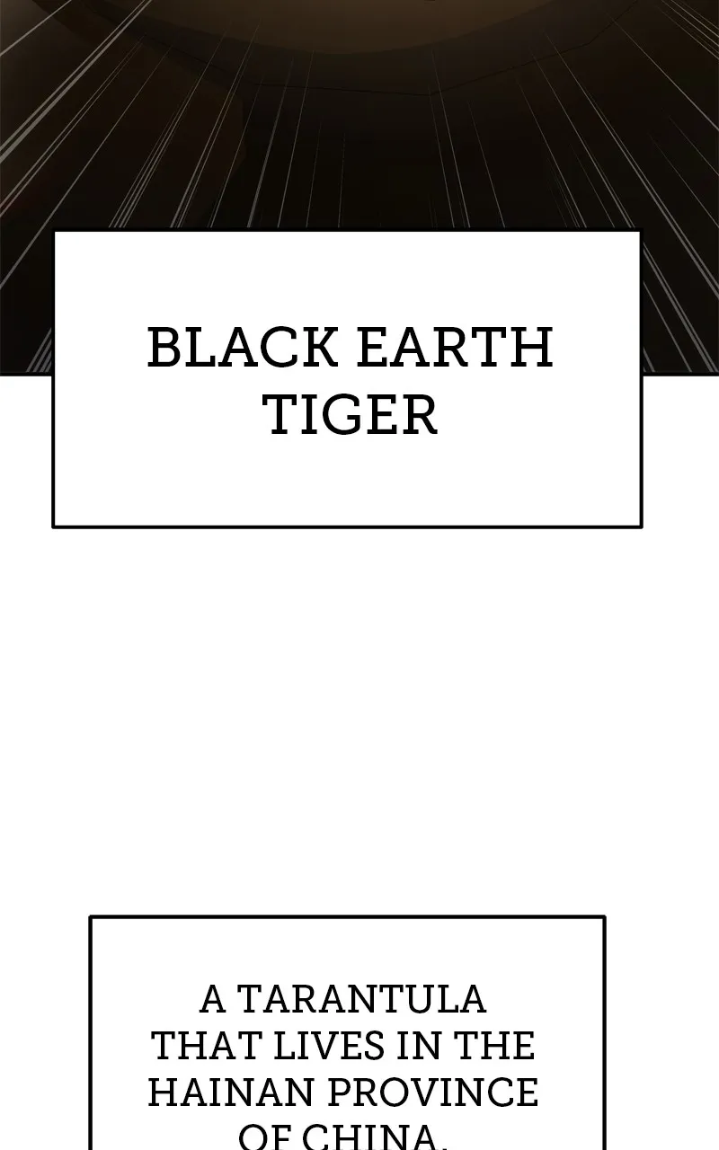 The Sichuan Tang Clan’s Entomologist Chapter 1 page 60 - 