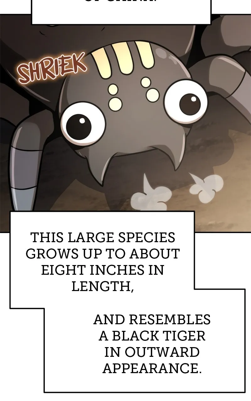 The Sichuan Tang Clan’s Entomologist Chapter 1 page 61 - 