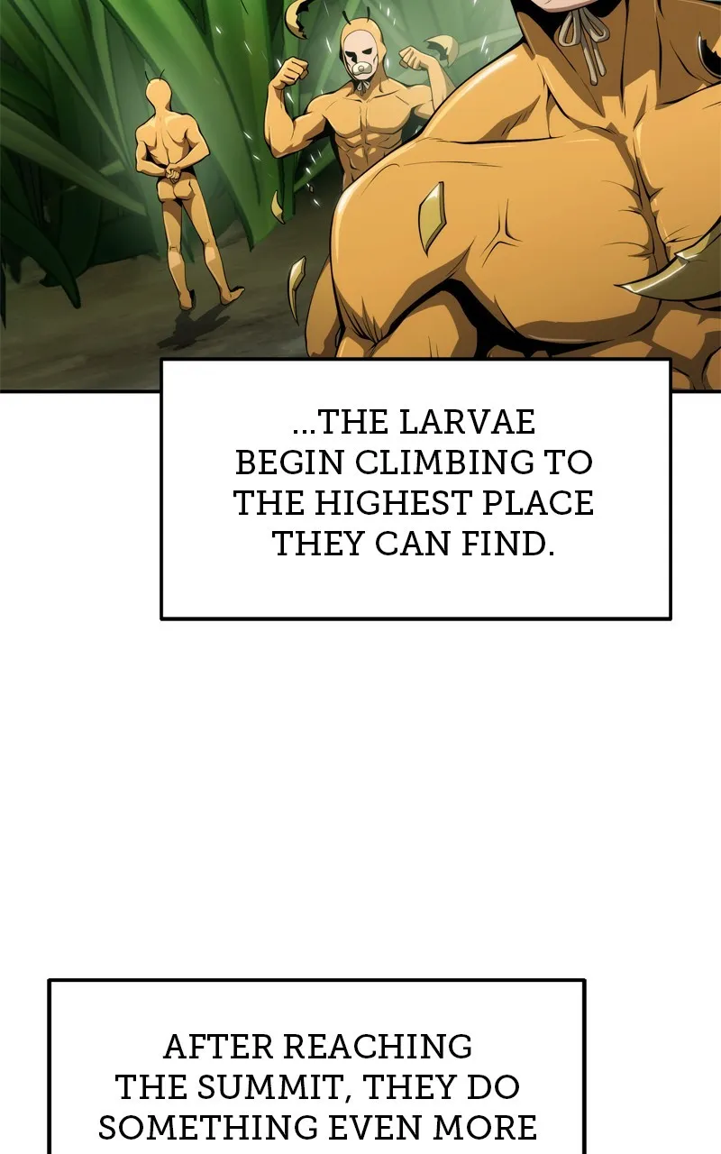 The Sichuan Tang Clan’s Entomologist Chapter 13 page 13 - 