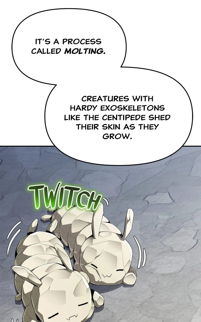 The Sichuan Tang Clan’s Entomologist Chapter 14 page 17 - 