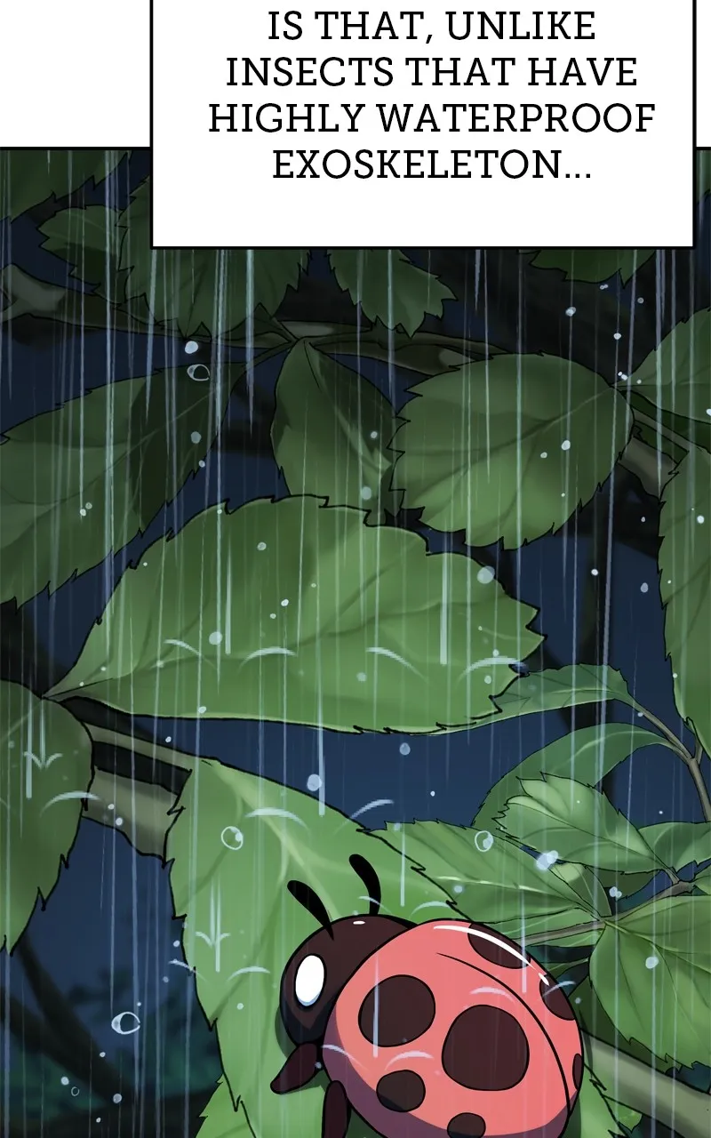The Sichuan Tang Clan’s Entomologist Chapter 2 page 31 - 
