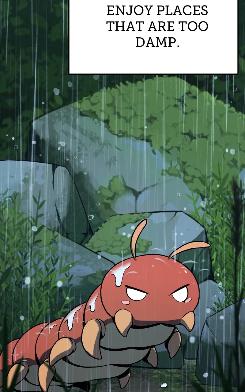 The Sichuan Tang Clan’s Entomologist Chapter 2 page 33 - 