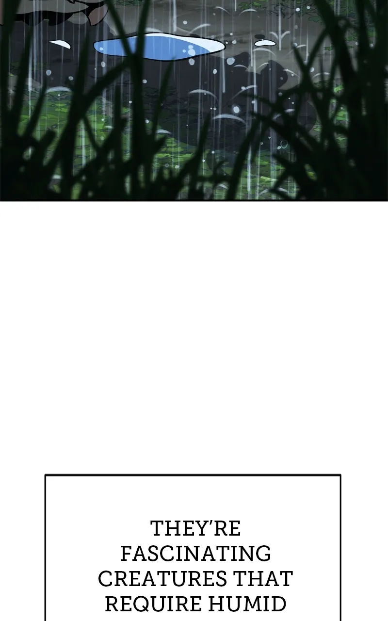 The Sichuan Tang Clan’s Entomologist Chapter 2 page 34 - 
