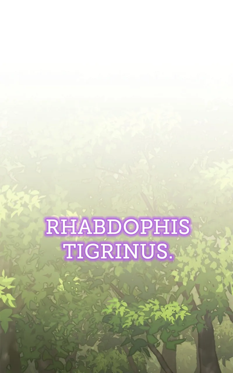 The Sichuan Tang Clan’s Entomologist Chapter 22 page 1 - 