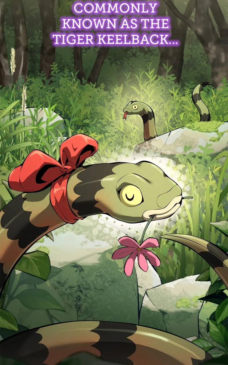 The Sichuan Tang Clan’s Entomologist Chapter 22 page 2 - 
