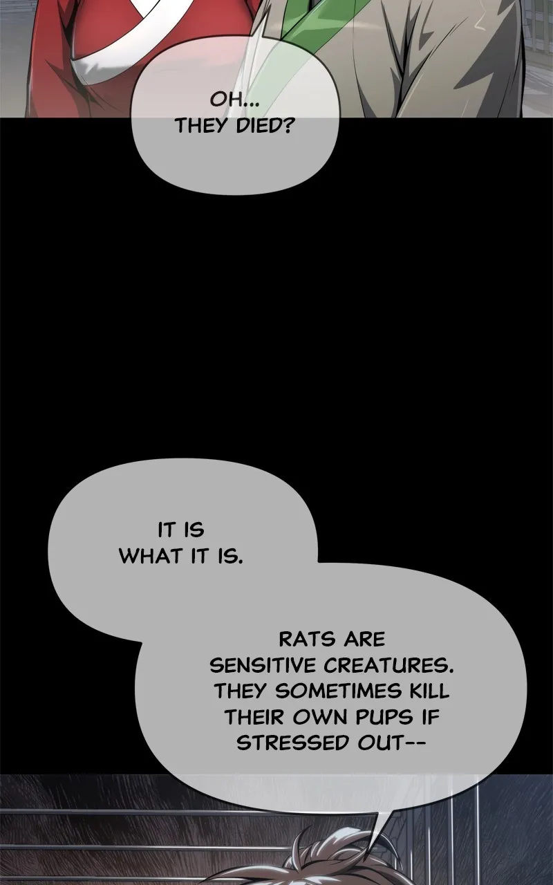 The Sichuan Tang Clan’s Entomologist Chapter 24 page 74 - 