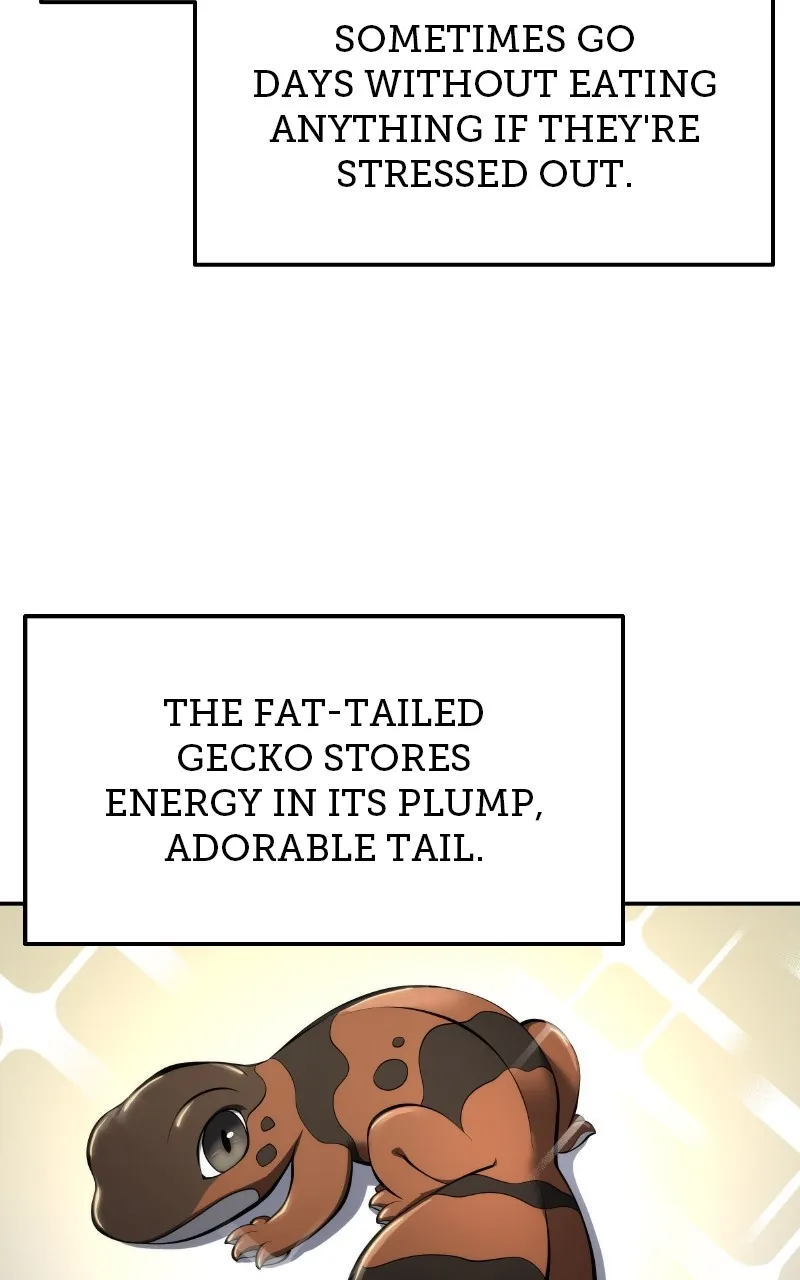 The Sichuan Tang Clan’s Entomologist Chapter 30 page 18 - 