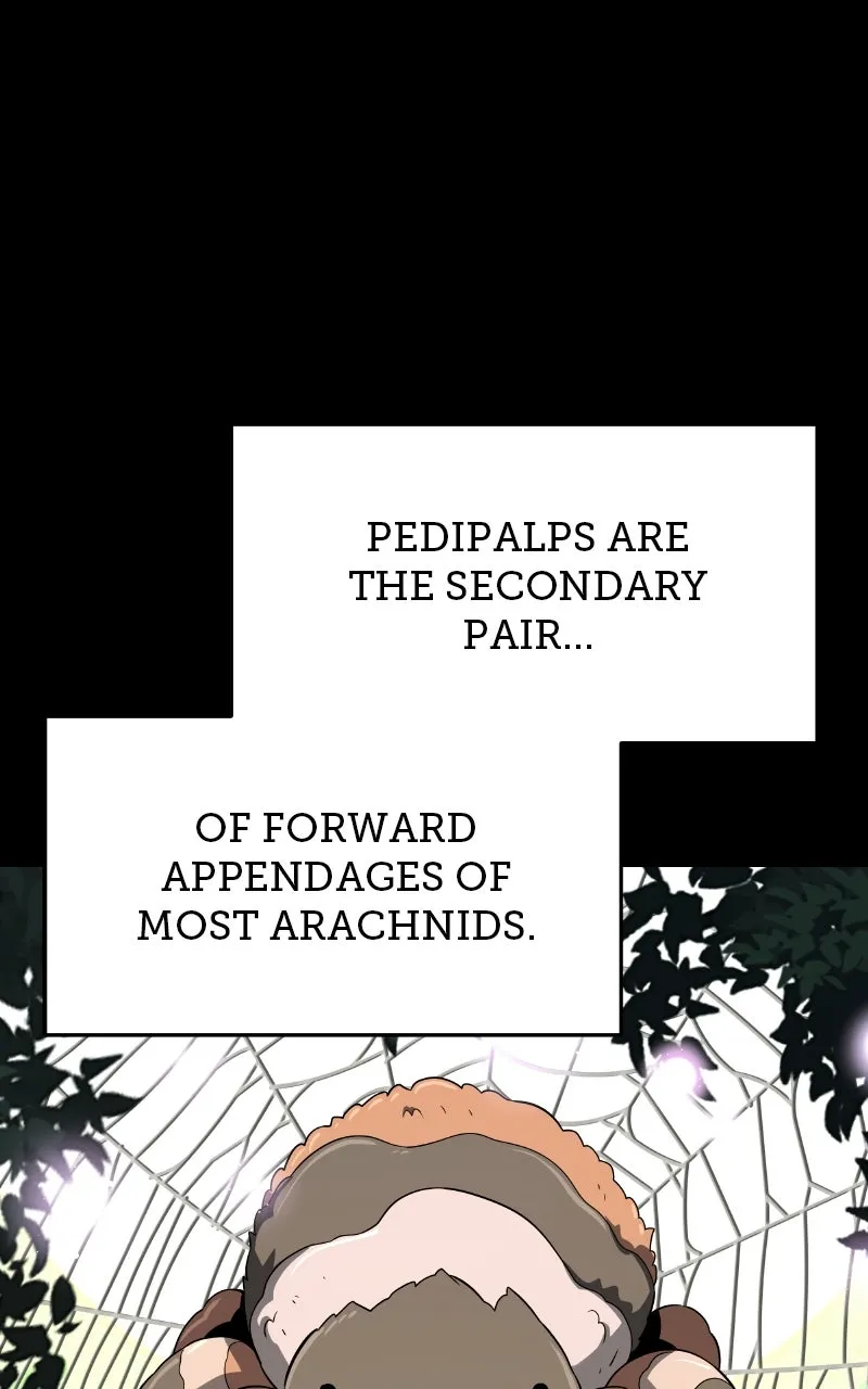 The Sichuan Tang Clan’s Entomologist Chapter 38 page 14 - 