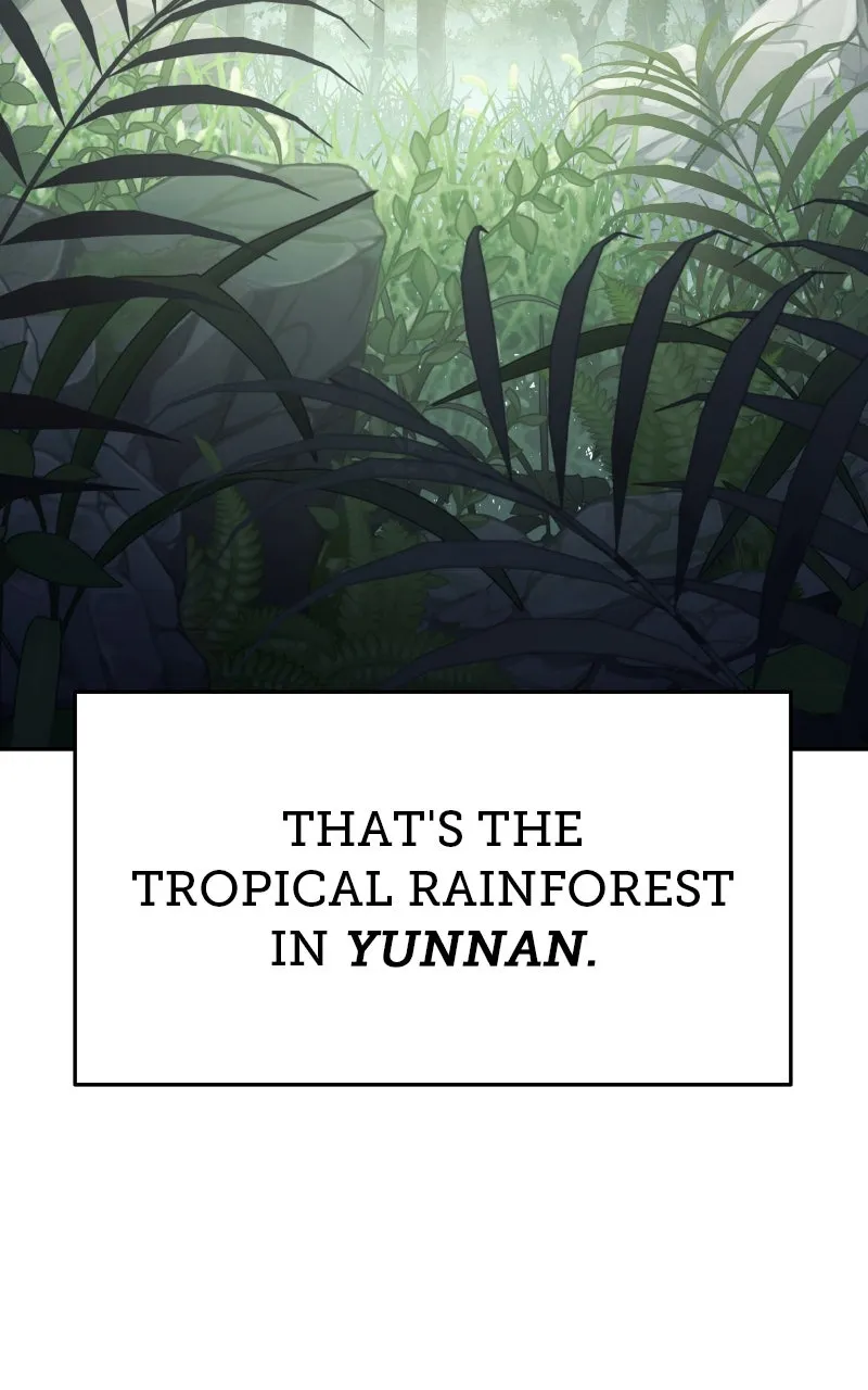 The Sichuan Tang Clan’s Entomologist Chapter 50 page 3 - 