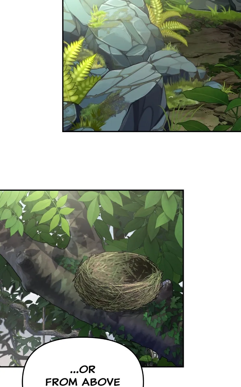 The Sichuan Tang Clan’s Entomologist Chapter 50 page 88 - 