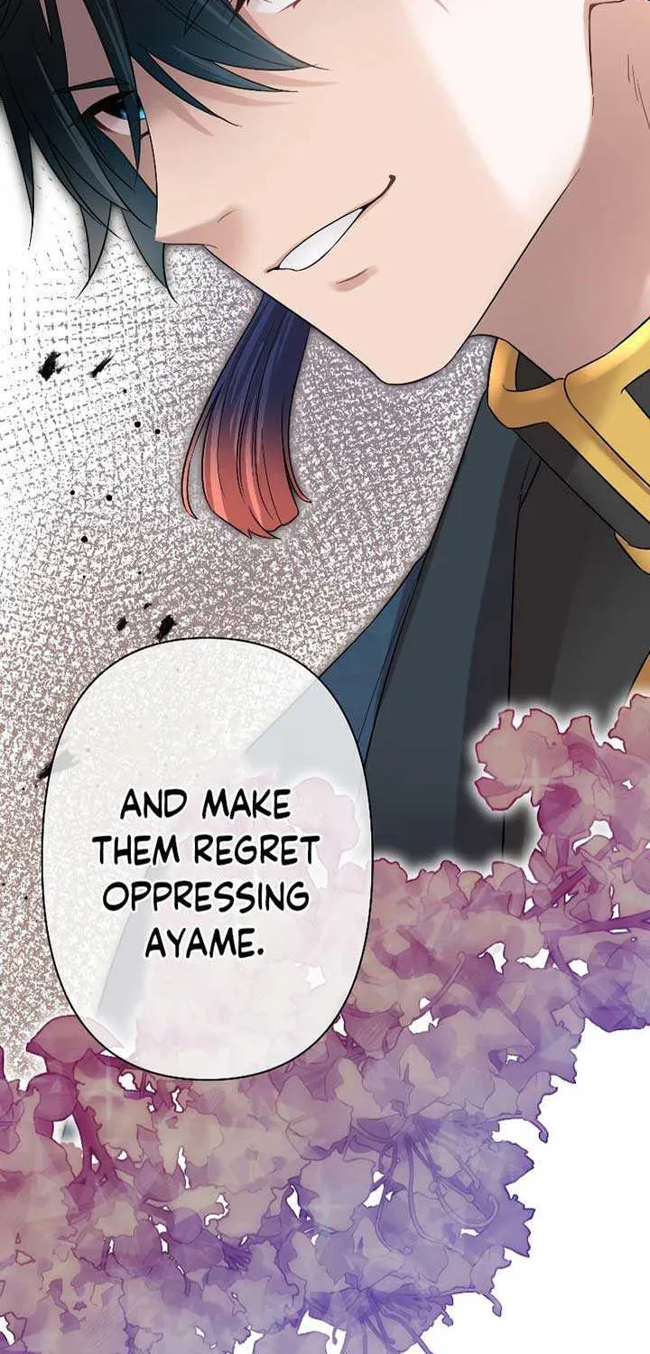 The Silent Sacrifice Princess And The Black Dragons Marriage Chapter 13 page 29 - 