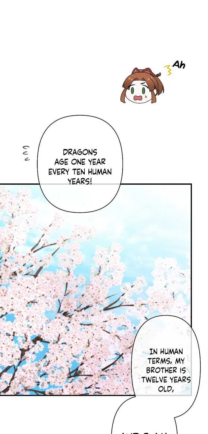 The Silent Sacrifice Princess And The Black Dragons Marriage Chapter 13 page 43 - 