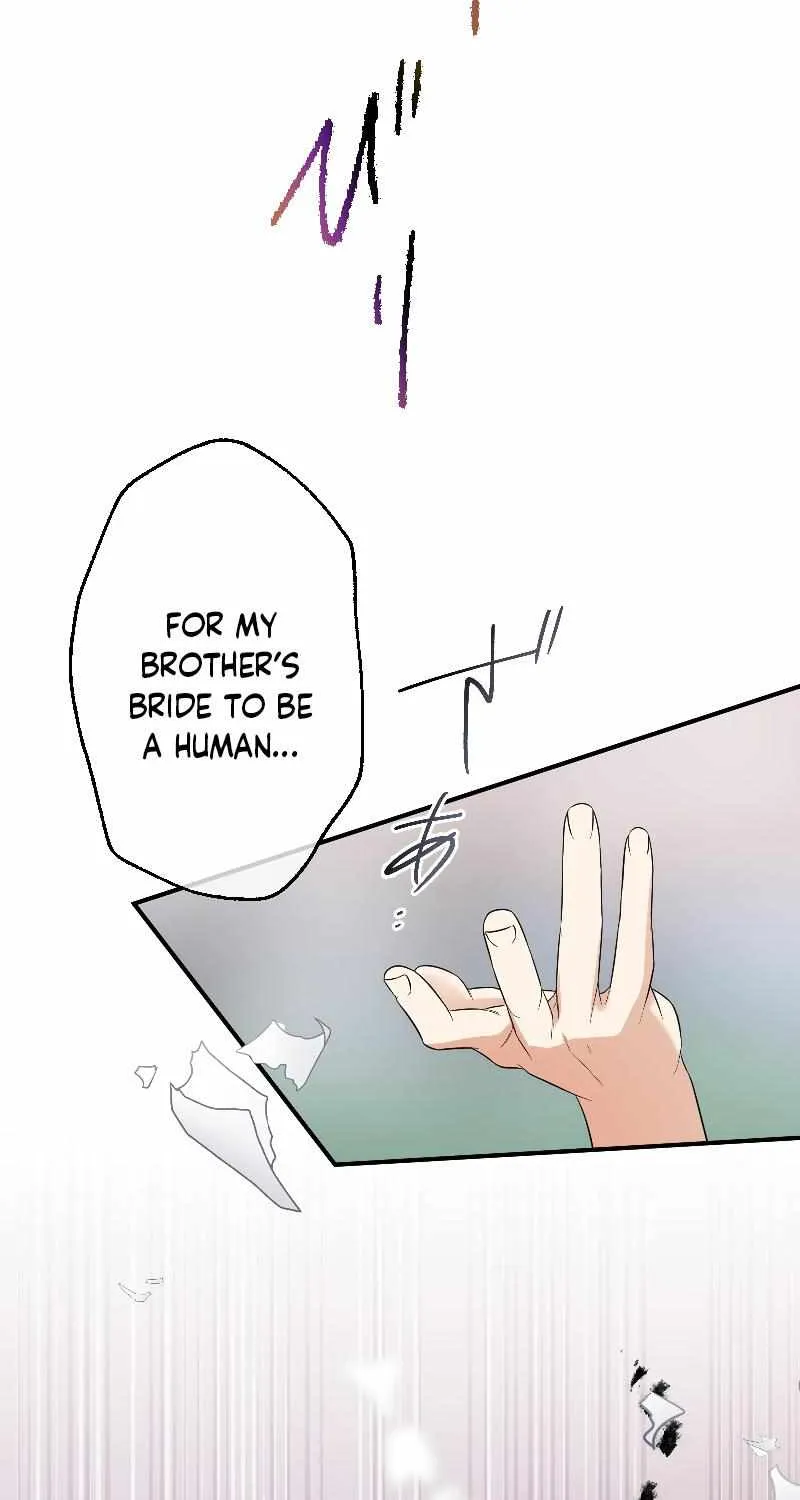 The Silent Sacrifice Princess And The Black Dragons Marriage Chapter 14 page 73 - 