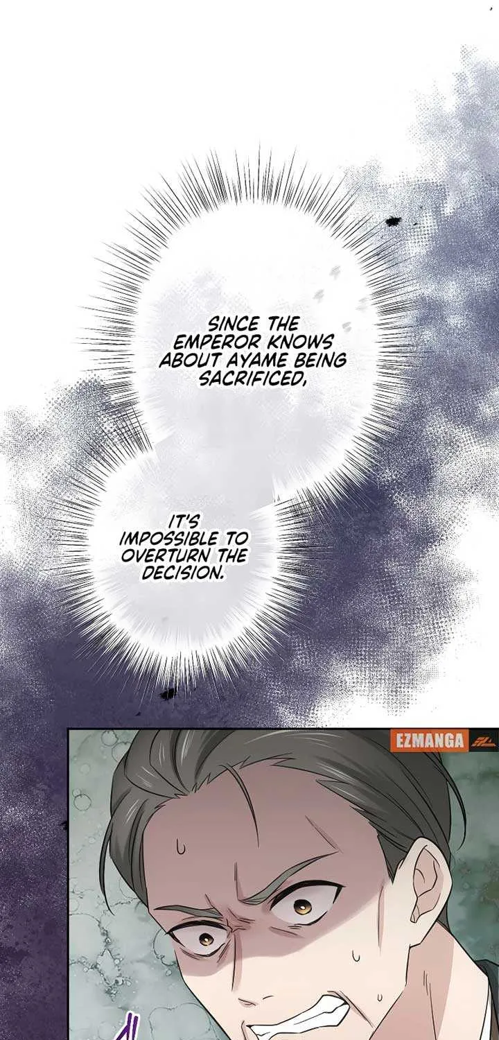 The Silent Sacrifice Princess And The Black Dragons Marriage Chapter 28 page 19 - 