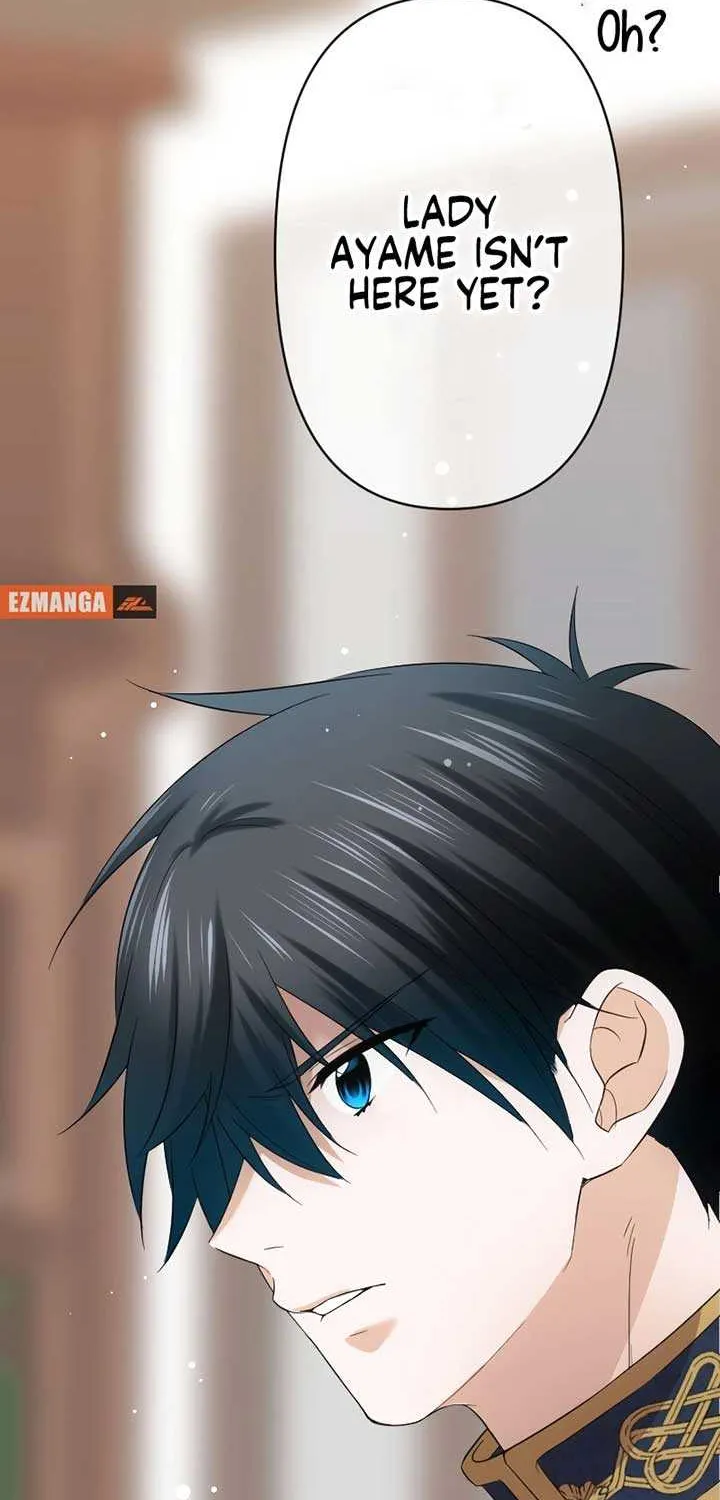 The Silent Sacrifice Princess And The Black Dragons Marriage Chapter 29 page 11 - 