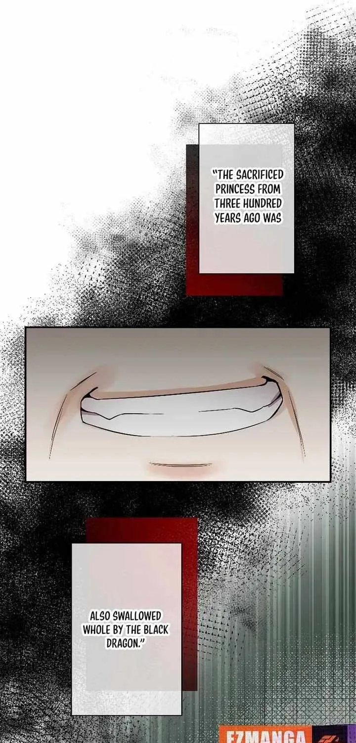 The Silent Sacrifice Princess And The Black Dragons Marriage Chapter 3 page 81 - 