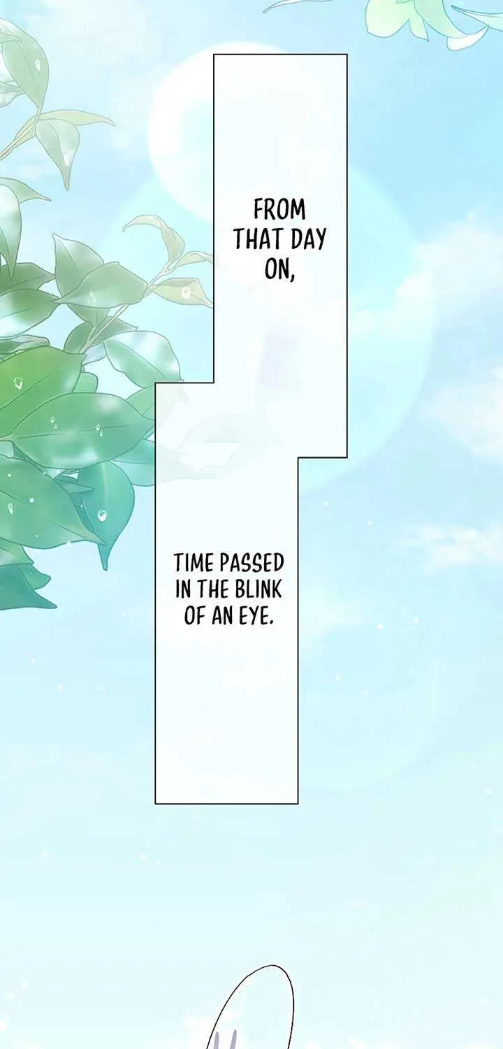 The Silent Sacrifice Princess And The Black Dragons Marriage Chapter 31 page 3 - 
