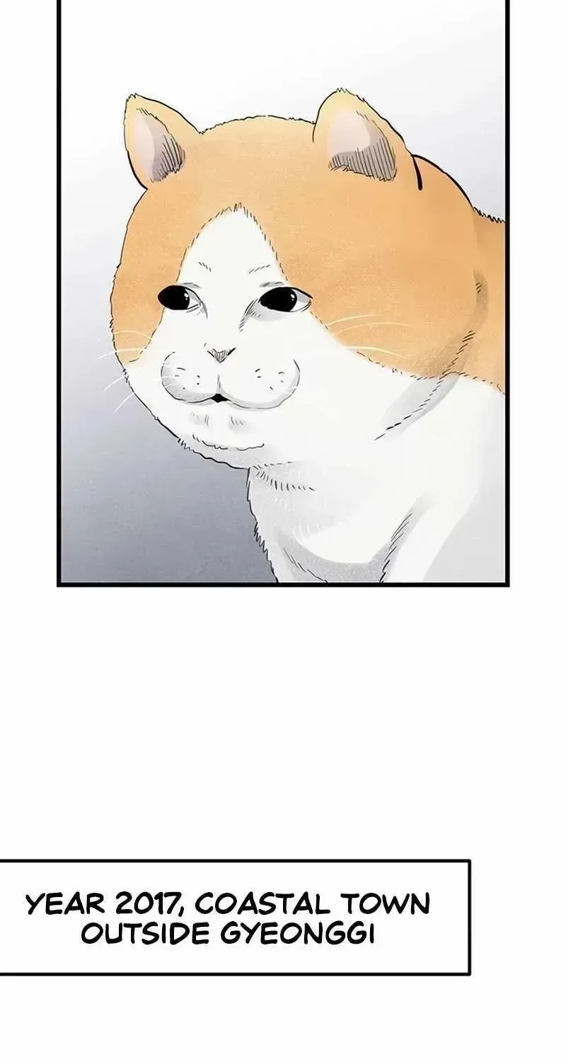 The Silent Transfer Student Chapter 1.2 page 2 - 