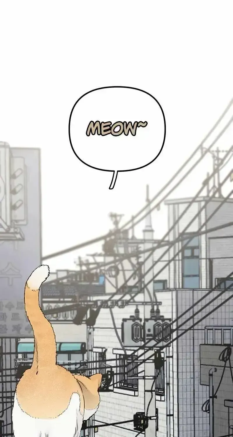 The Silent Transfer Student Chapter 1.3 page 3 - 