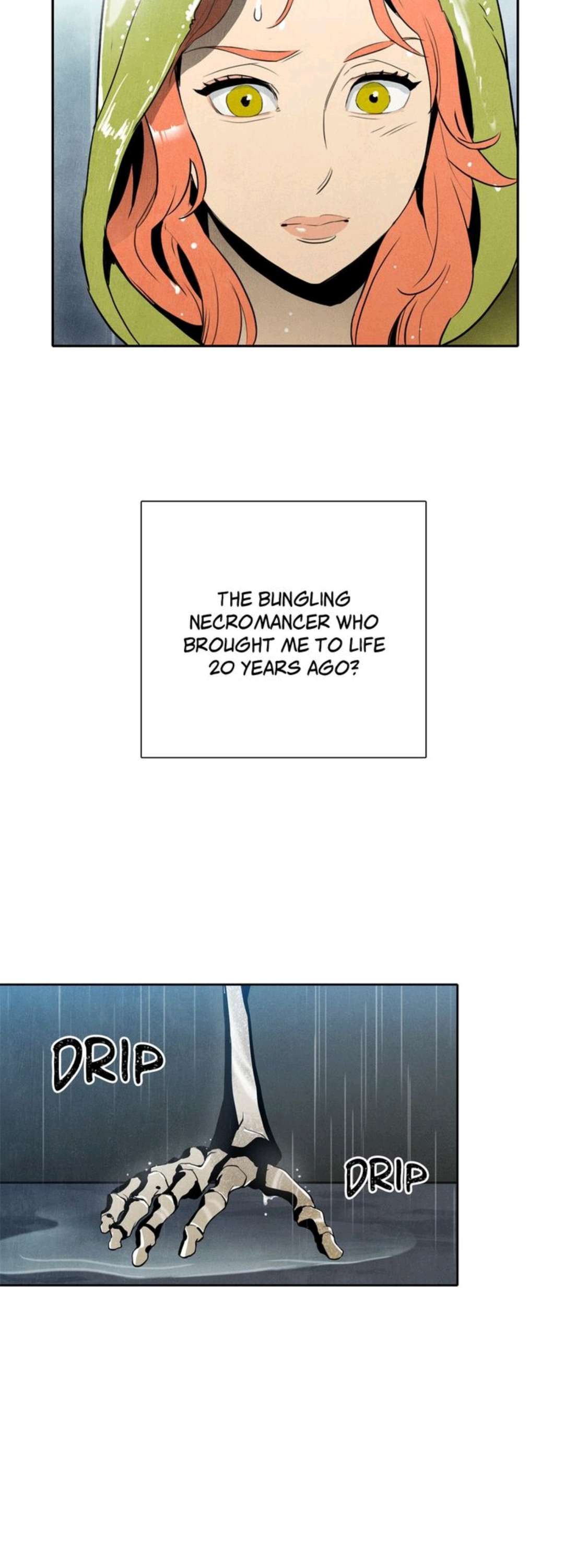The Skeleton Soldier Failed to Defend the Dungeon [Official] Chapter 1 page 20 - 