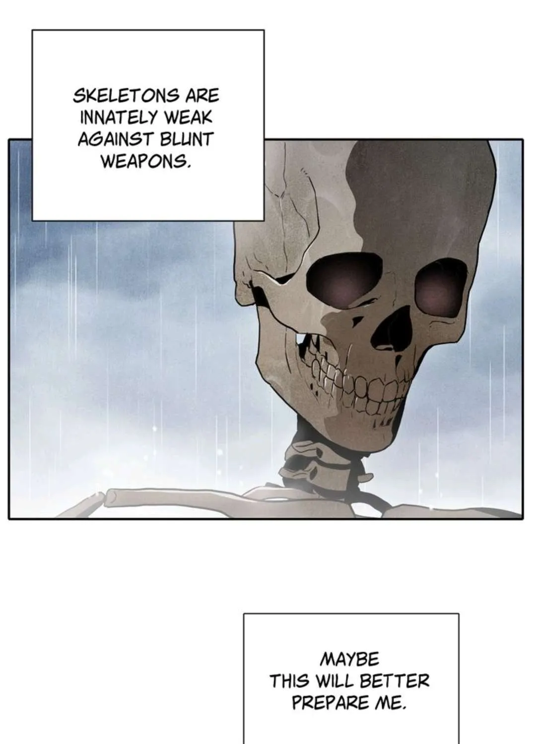 The Skeleton Soldier Failed To Defend The Dungeon Chapter 2 page 13 - 