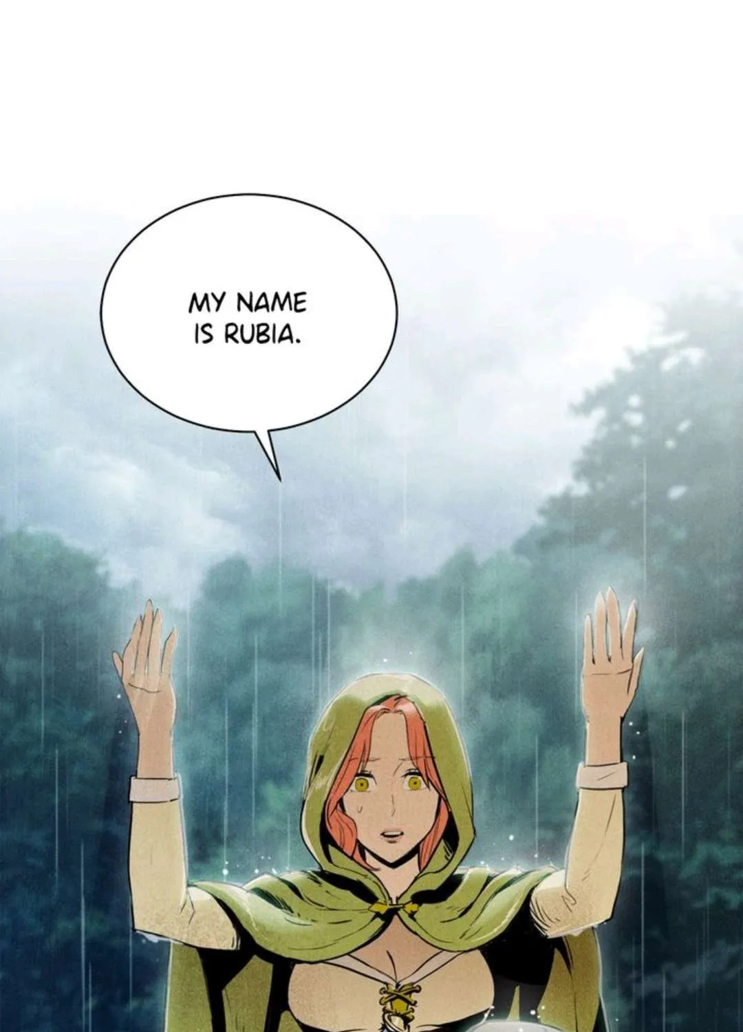 The Skeleton Soldier Failed To Defend The Dungeon Chapter 2 page 3 - 