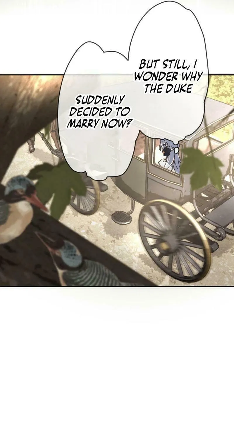 The Sleeping Duke