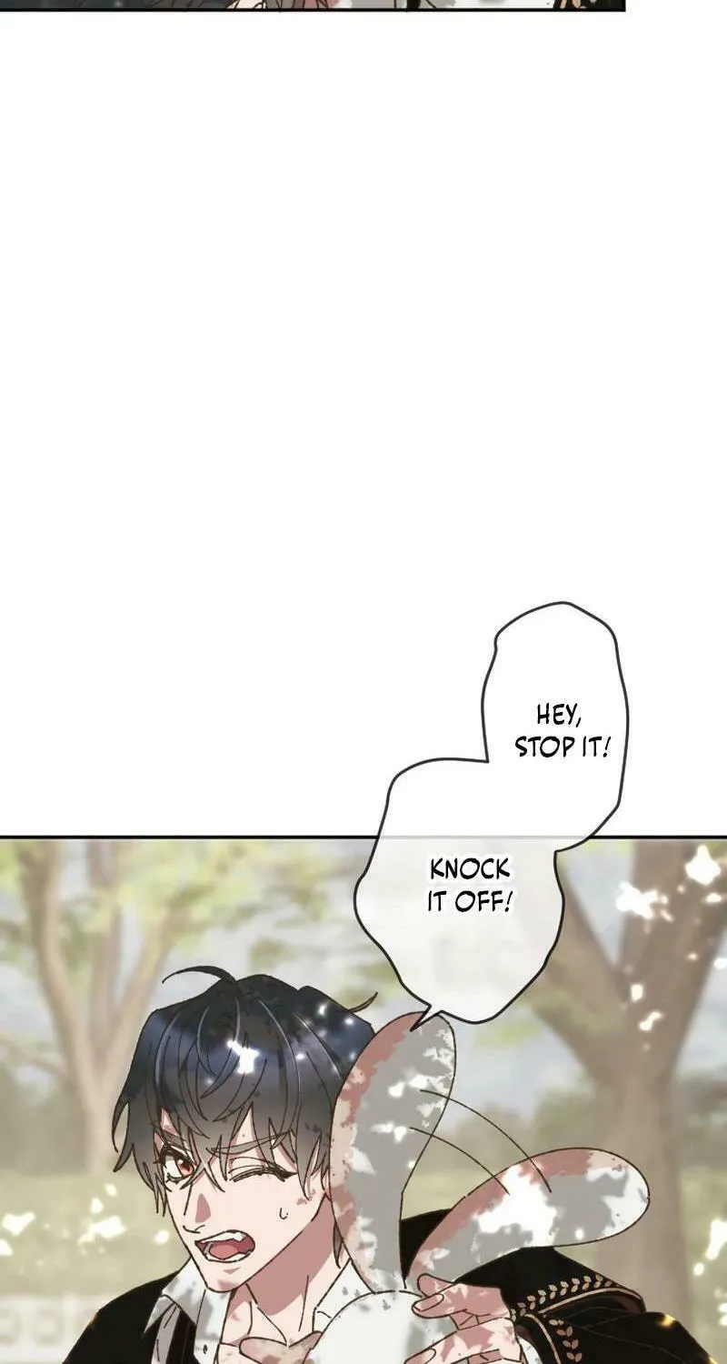 The Sleeping Duke