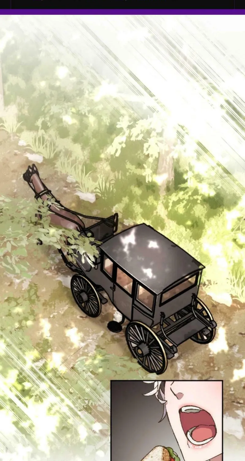 The Sleeping Duke