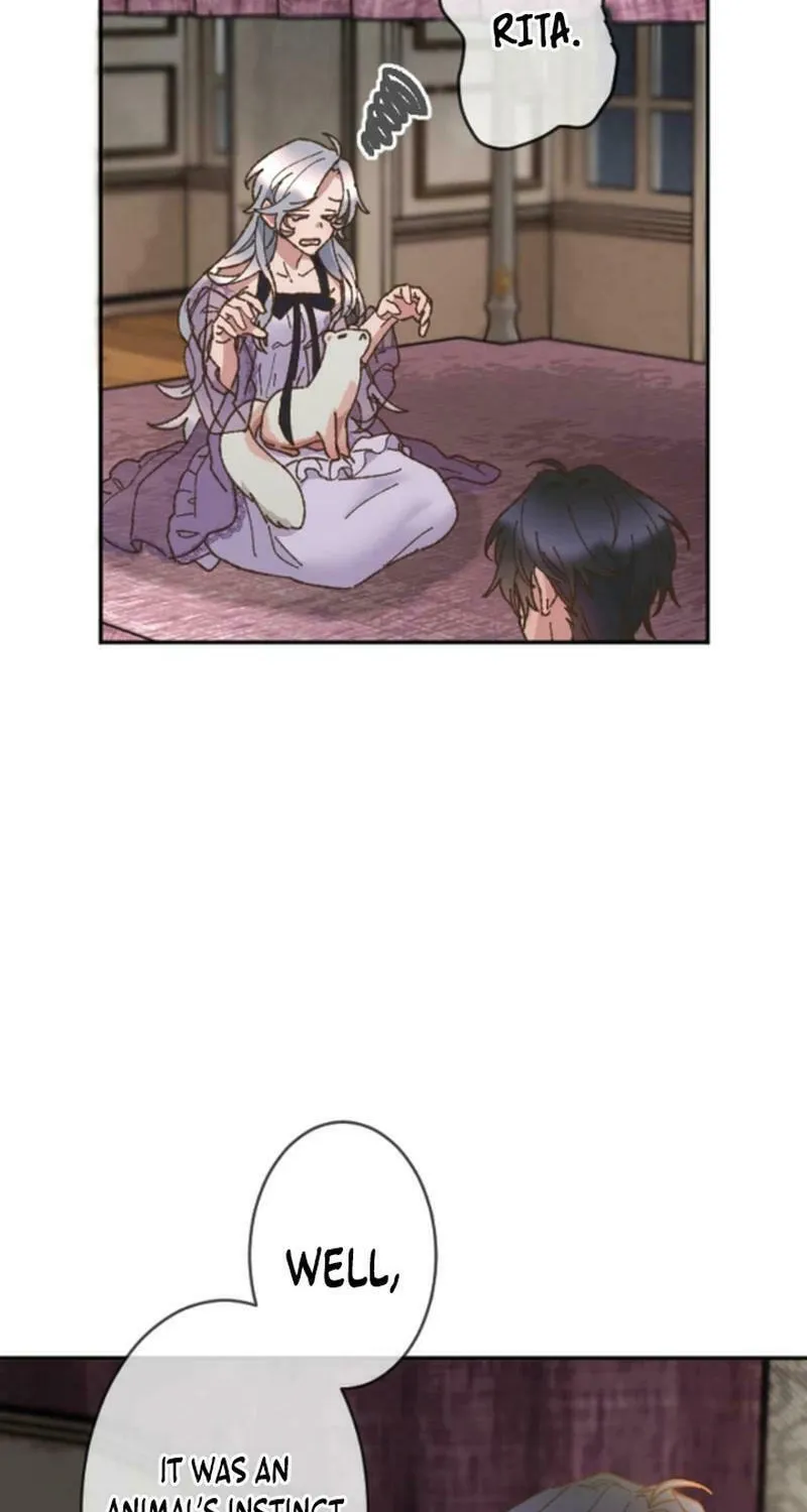 The Sleeping Duke