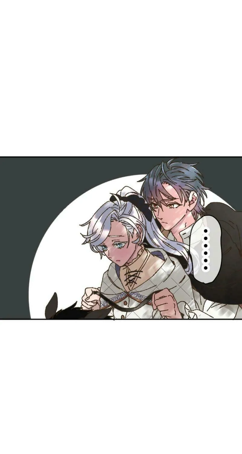 The Sleeping Duke