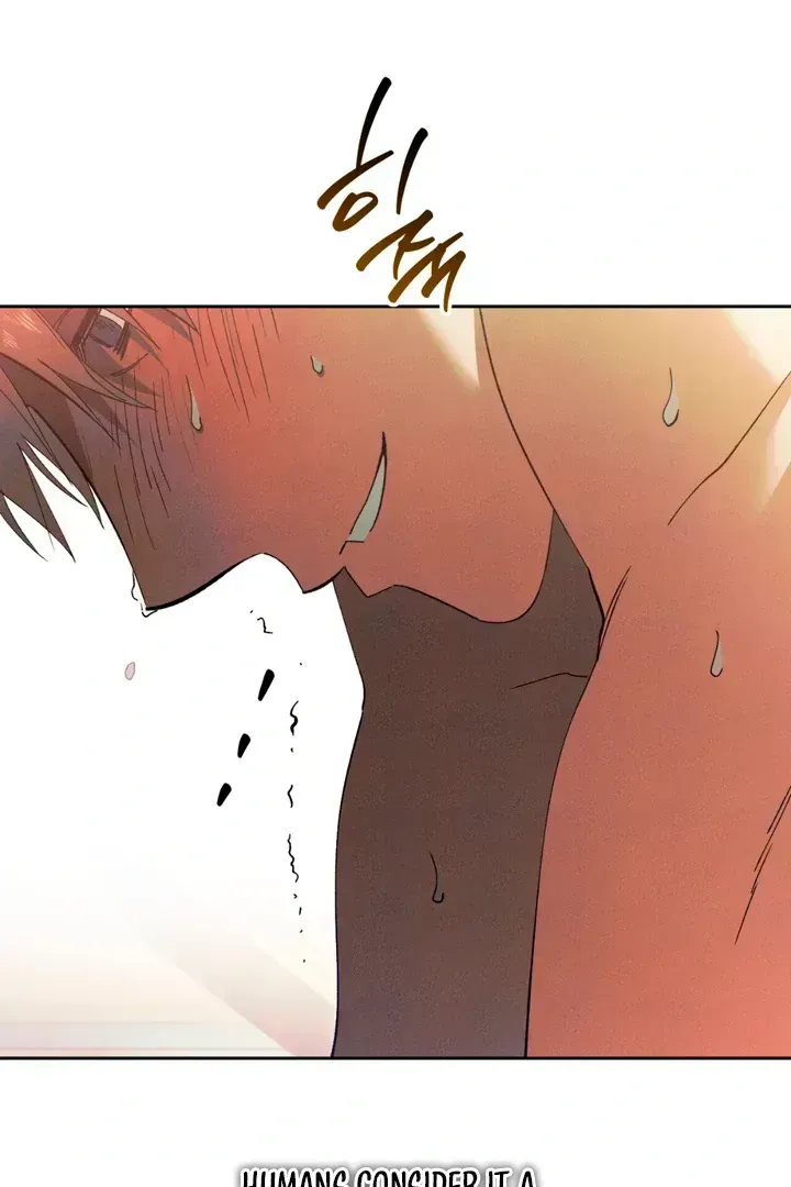 The Snake that Swallowed the Pomegranate Chapter 1.2 page 133 - 