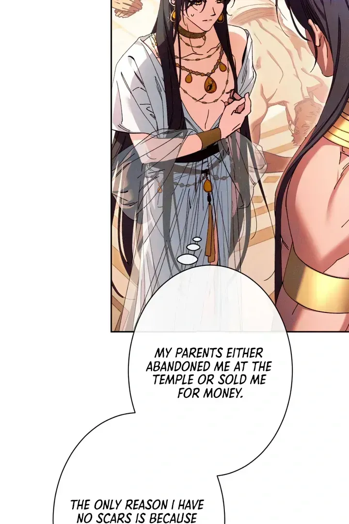 The Snake that Swallowed the Pomegranate Chapter 1.2 page 135 - 