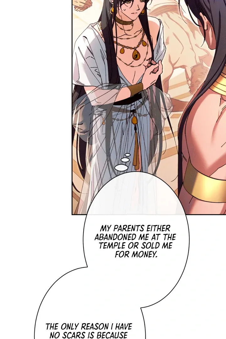 The Snake that Swallowed the Pomegranate Chapter 1 page 135 - 