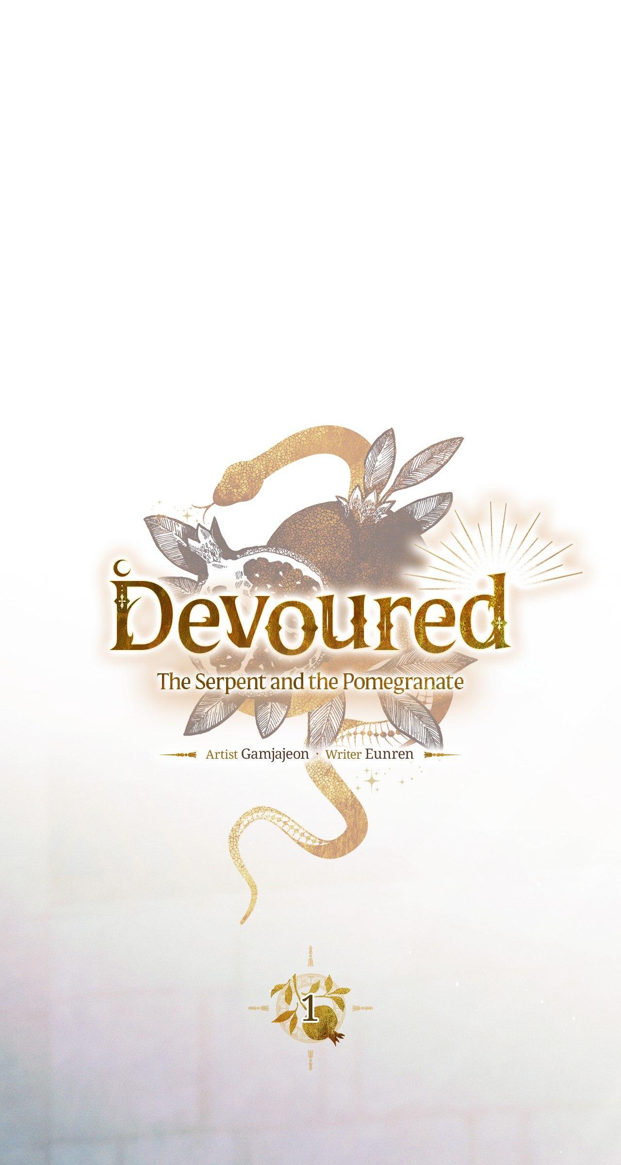 The Snake that Swallowed the Pomegranate Chapter 13.3 page 31 - 