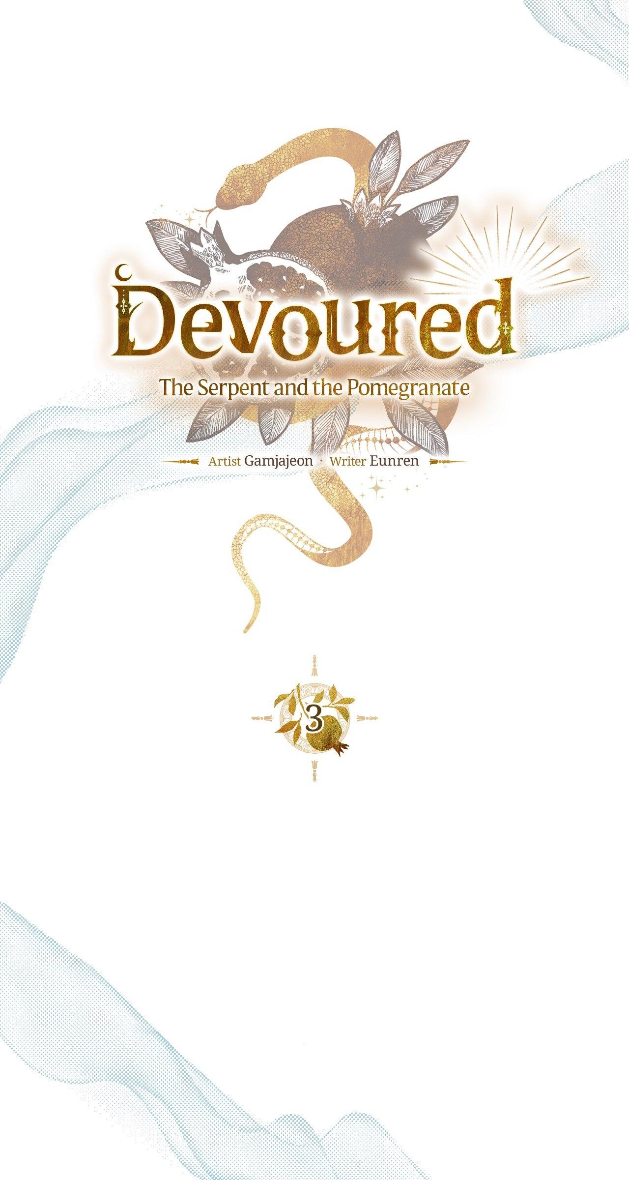 The Snake that Swallowed the Pomegranate Chapter 13.5 page 24 - 
