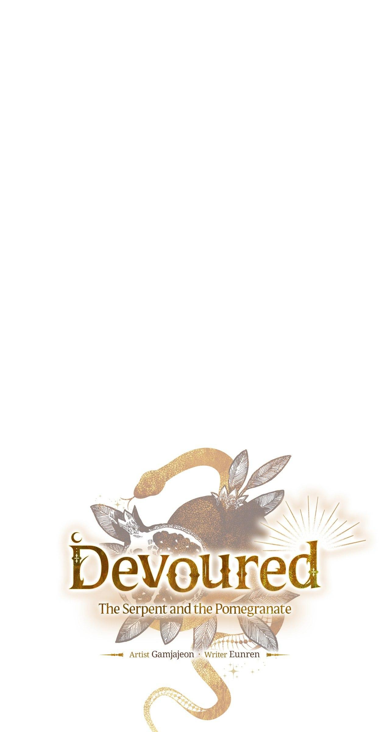 The Snake that Swallowed the Pomegranate Chapter 13.8 page 18 - 