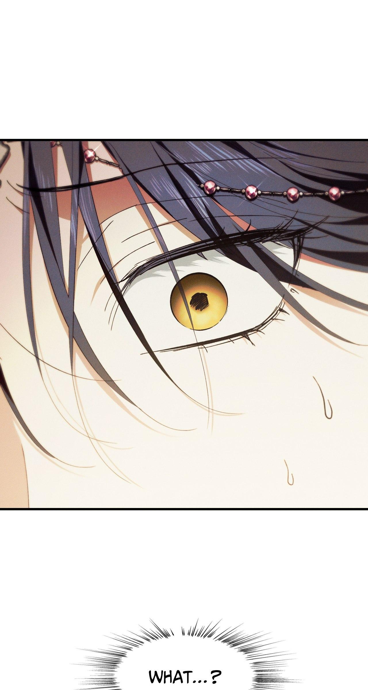 The Snake that Swallowed the Pomegranate Chapter 13.9 page 99 - 
