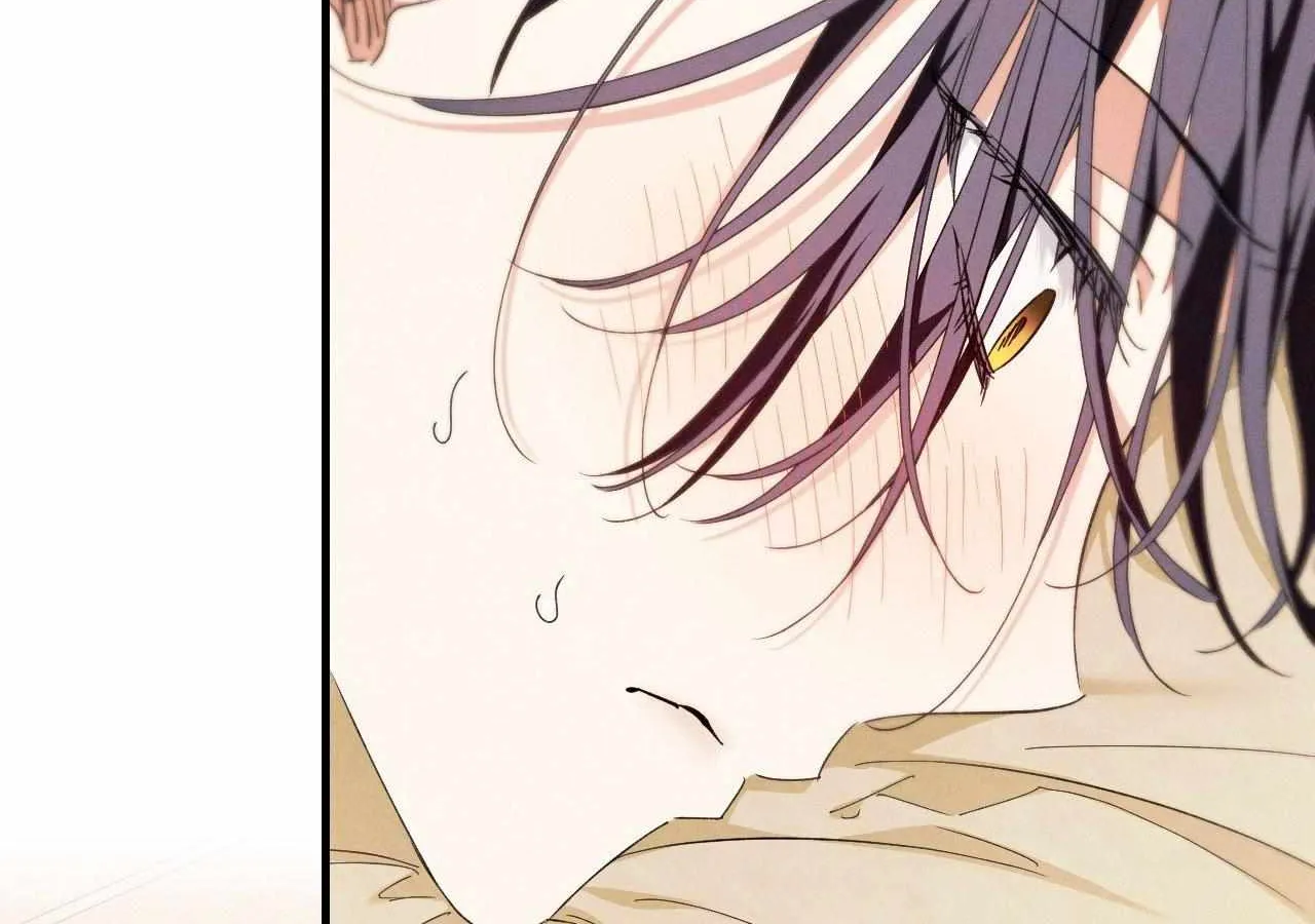The Snake that Swallowed the Pomegranate Chapter 17 page 167 - 