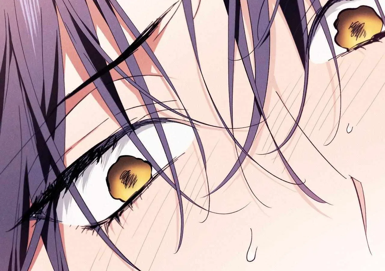 The Snake that Swallowed the Pomegranate Chapter 19 page 91 - 