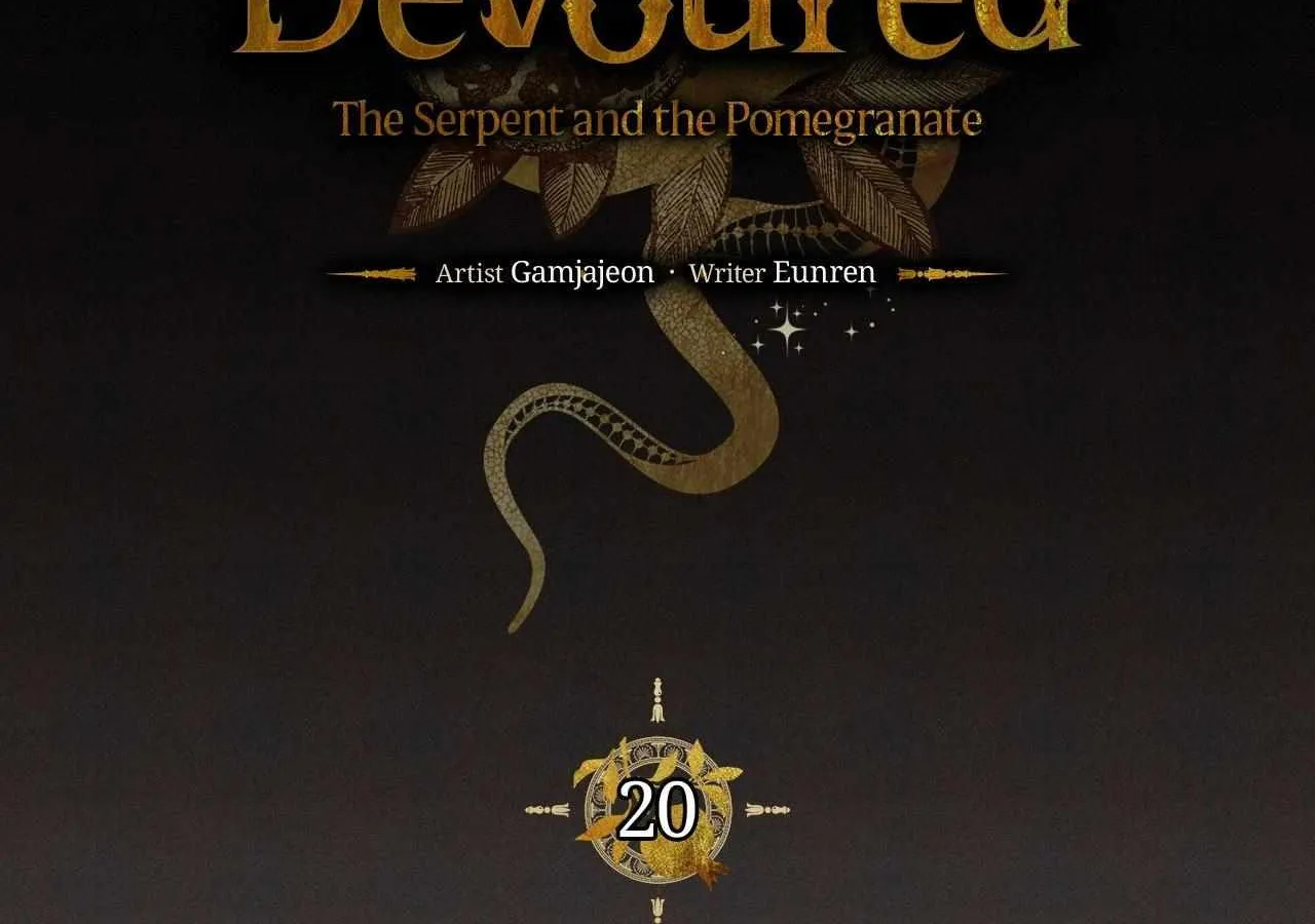 The Snake that Swallowed the Pomegranate Chapter 20 page 29 - 
