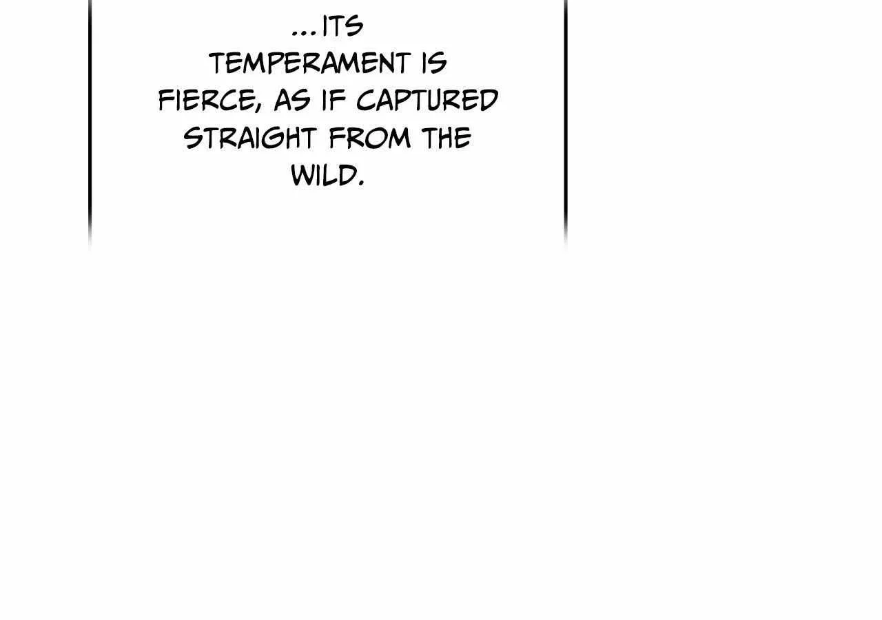 The Snake that Swallowed the Pomegranate Chapter 23 page 62 - 