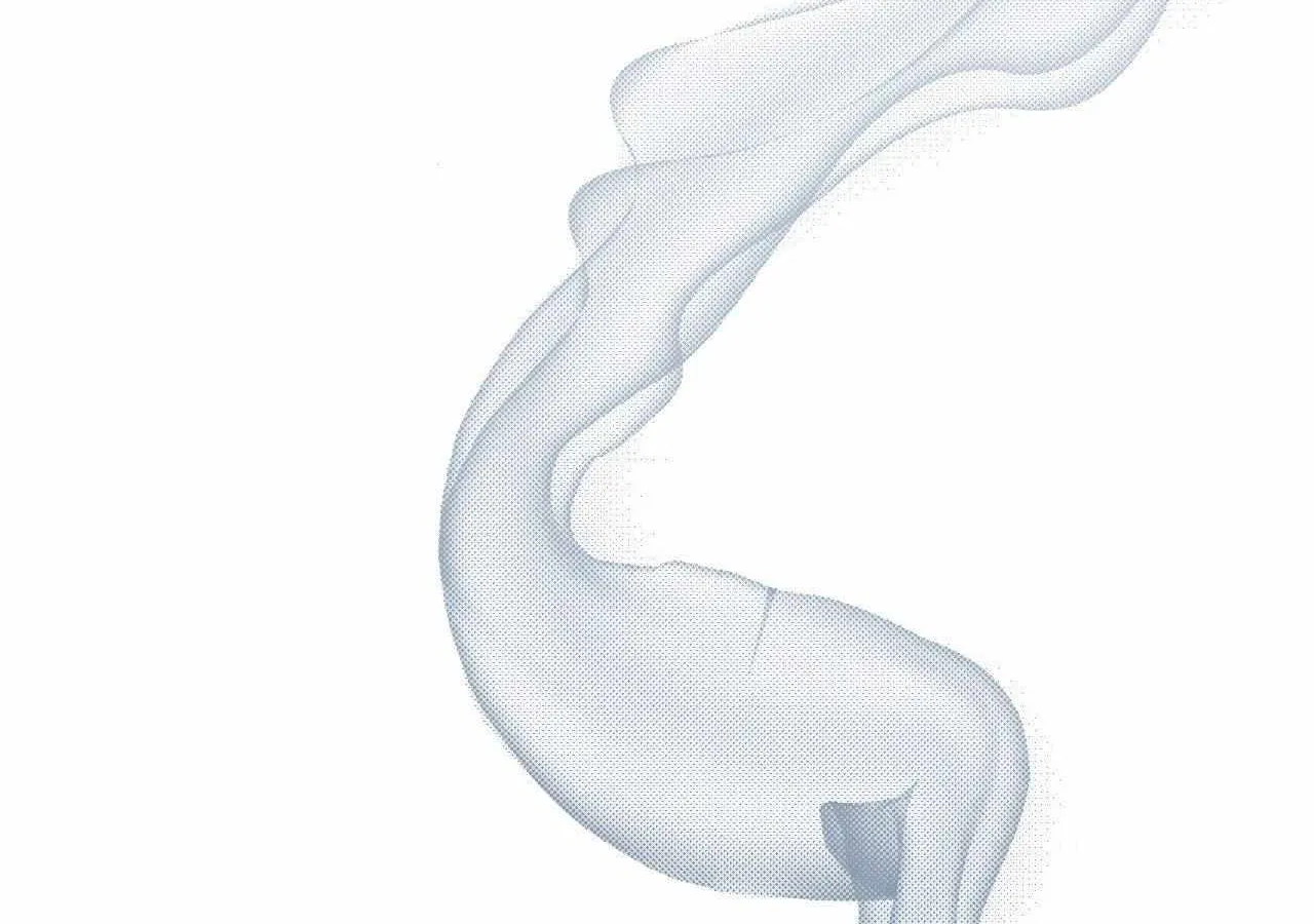 The Snake that Swallowed the Pomegranate Chapter 26 page 219 - 