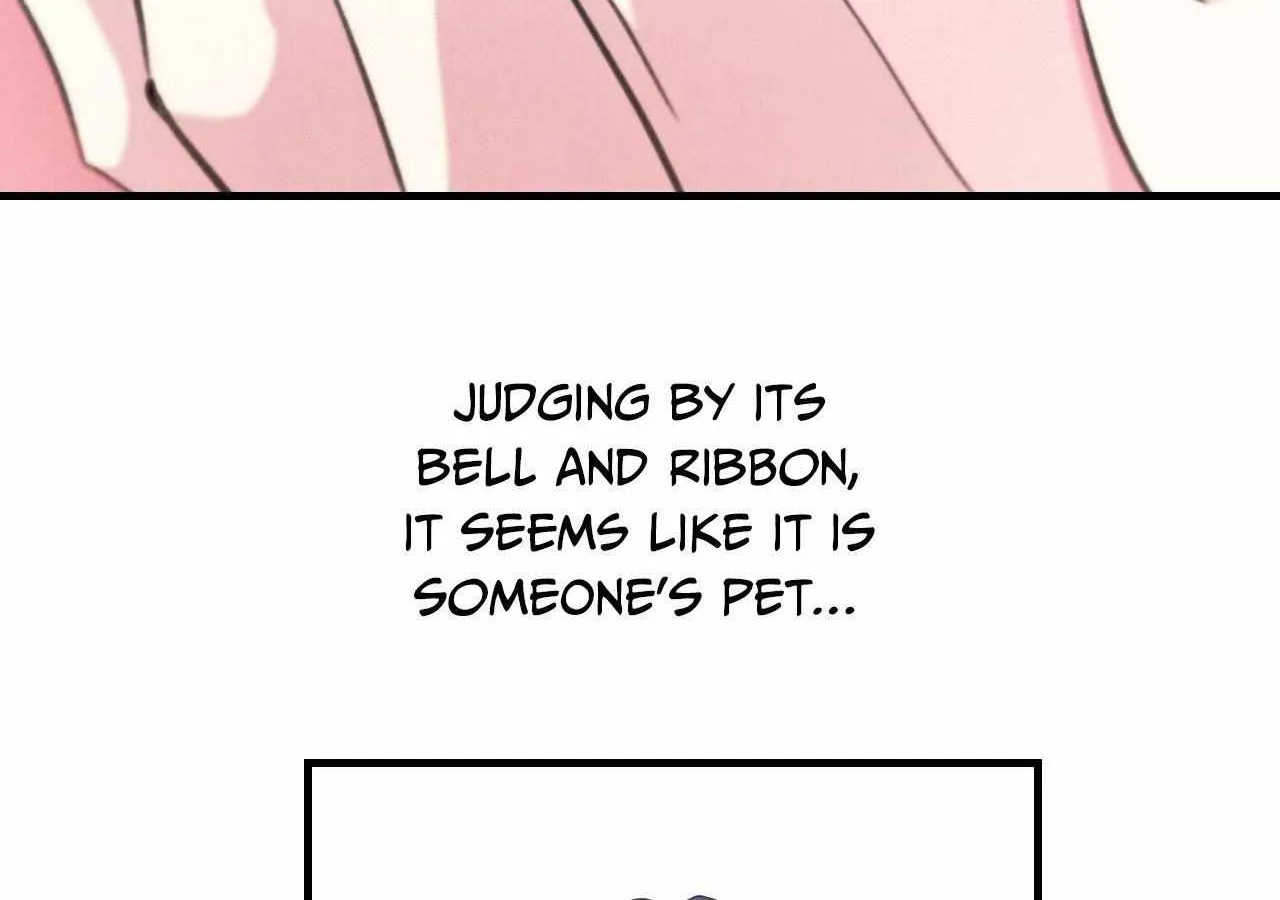 The Snake that Swallowed the Pomegranate Chapter 27 page 169 - 