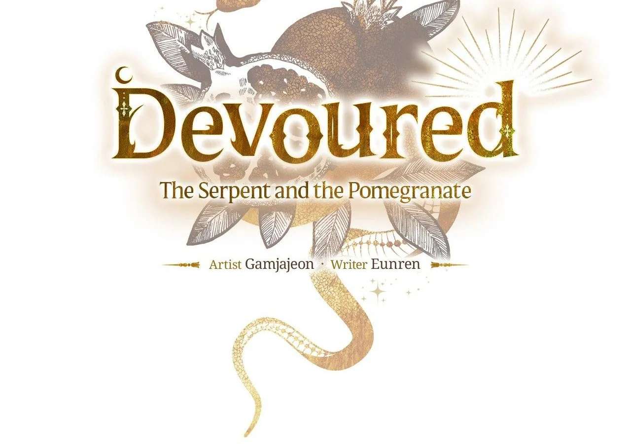 The Snake that Swallowed the Pomegranate Chapter 27 page 40 - 
