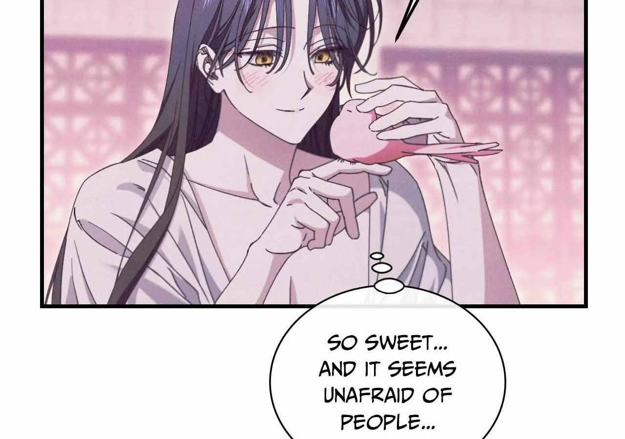 The Snake that Swallowed the Pomegranate Chapter 28 page 55 - 
