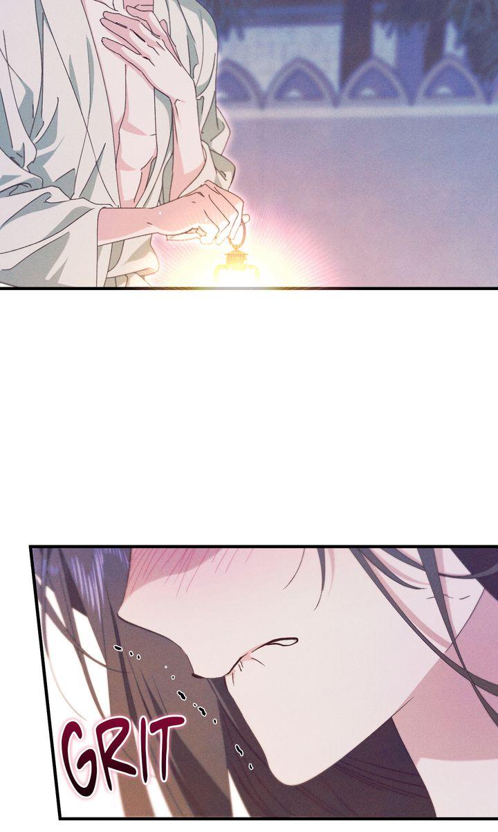 The Snake that Swallowed the Pomegranate Chapter 36 page 88 - 