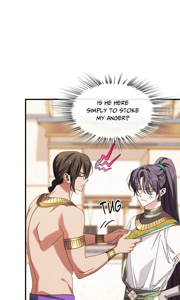 The Snake that Swallowed the Pomegranate Chapter 37 page 48 - 